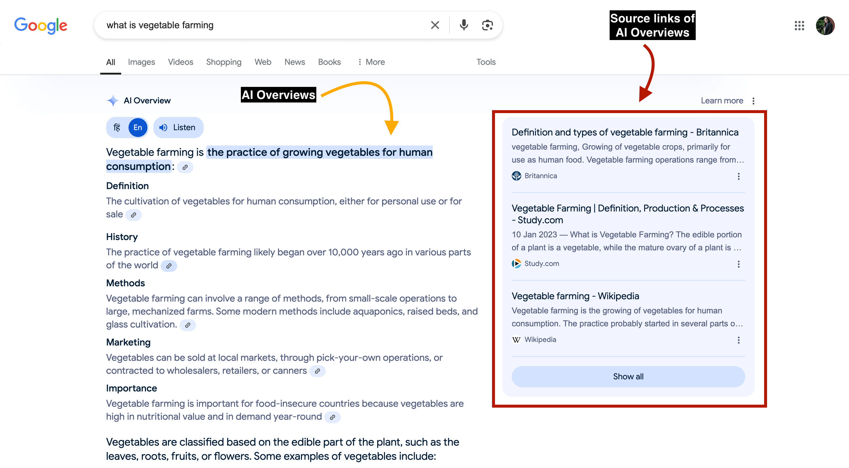 Anatomy of Google Search page after AI overviews.