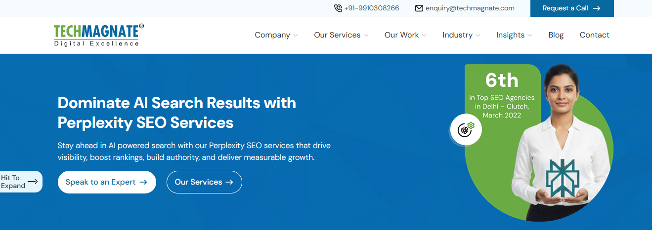 Techmagnate AI SEO and Perplexity optimization agency in India.