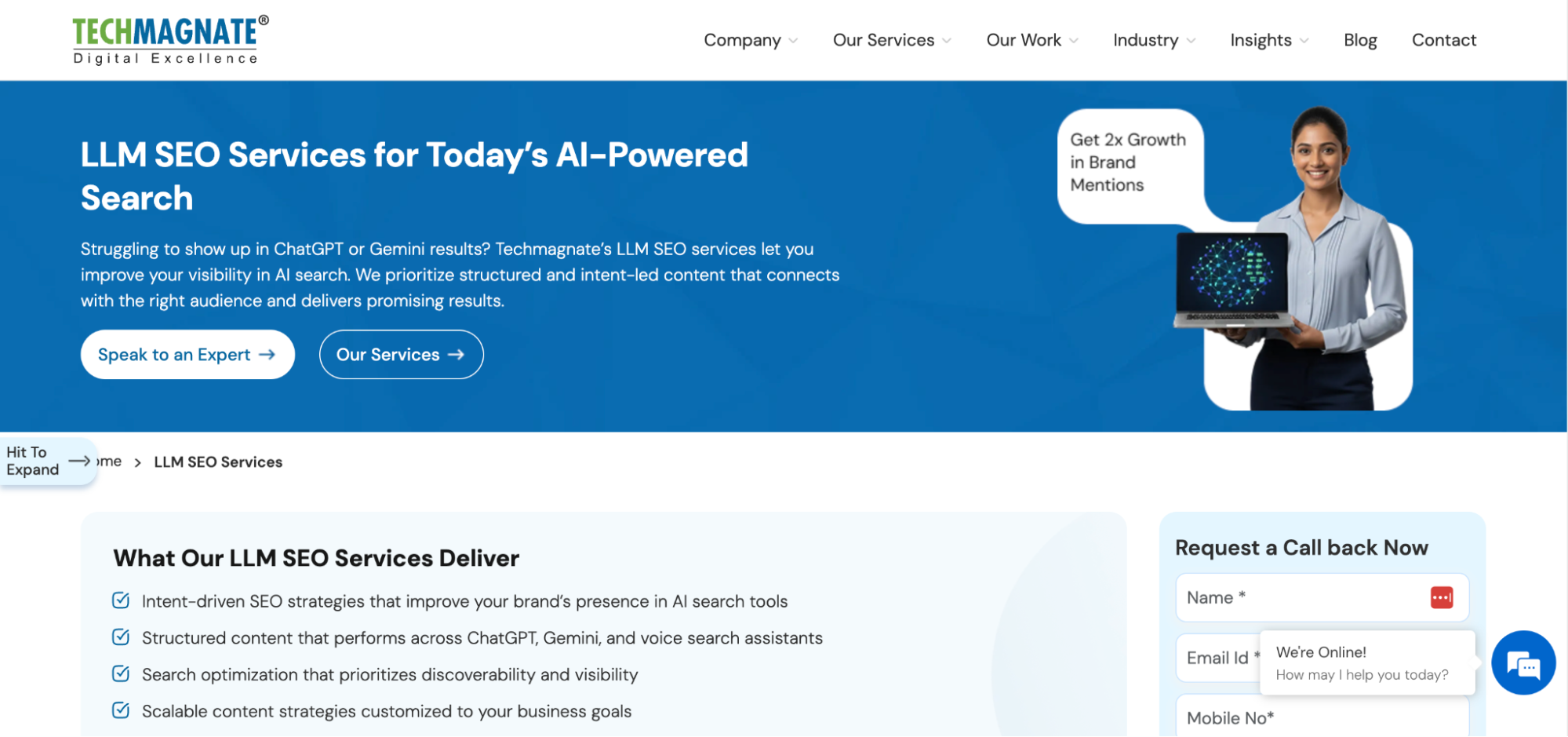 Techmagnate is one of the best LLM SEO agencies in India.