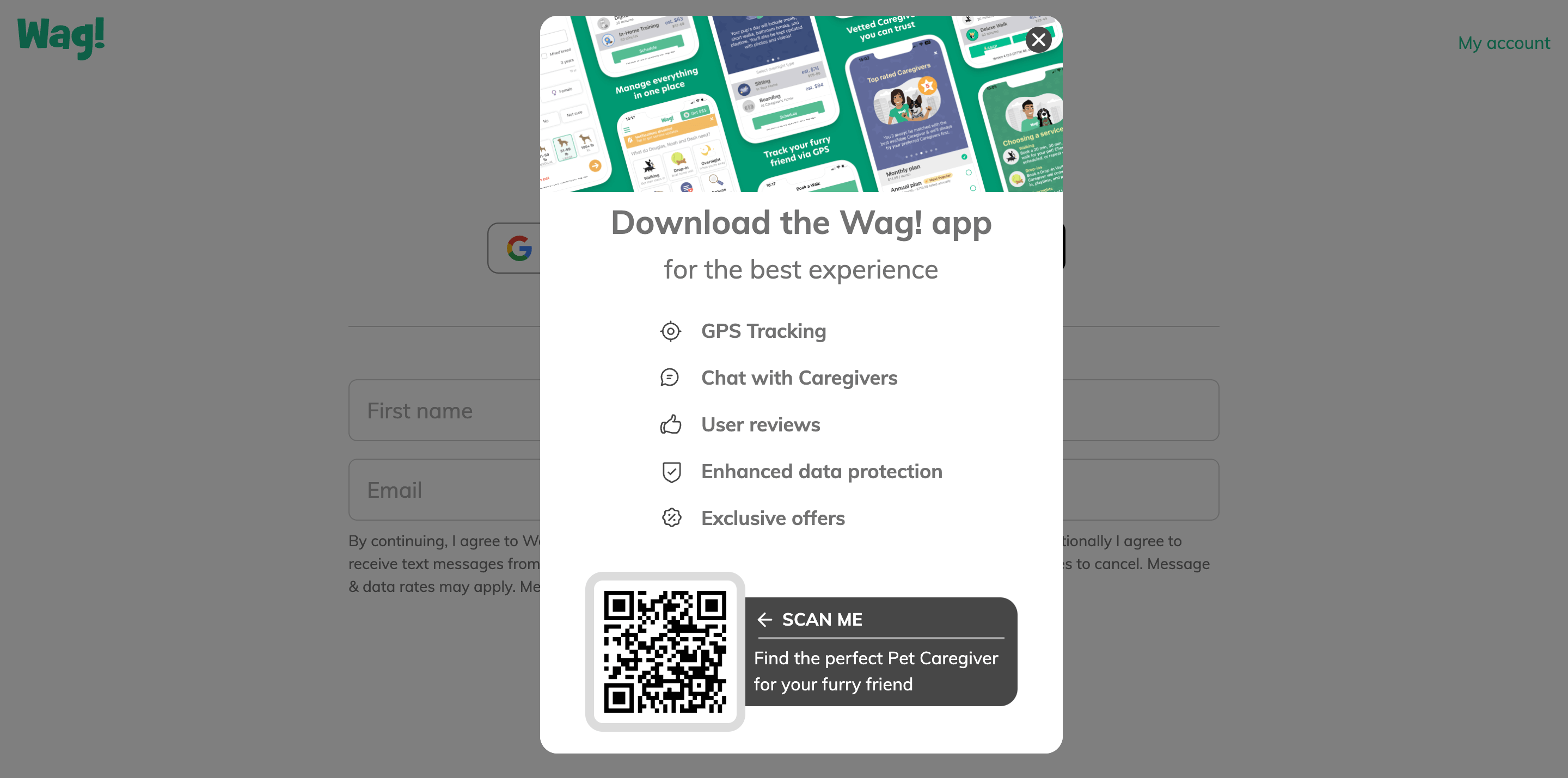 Pop-up on website of Wag!
