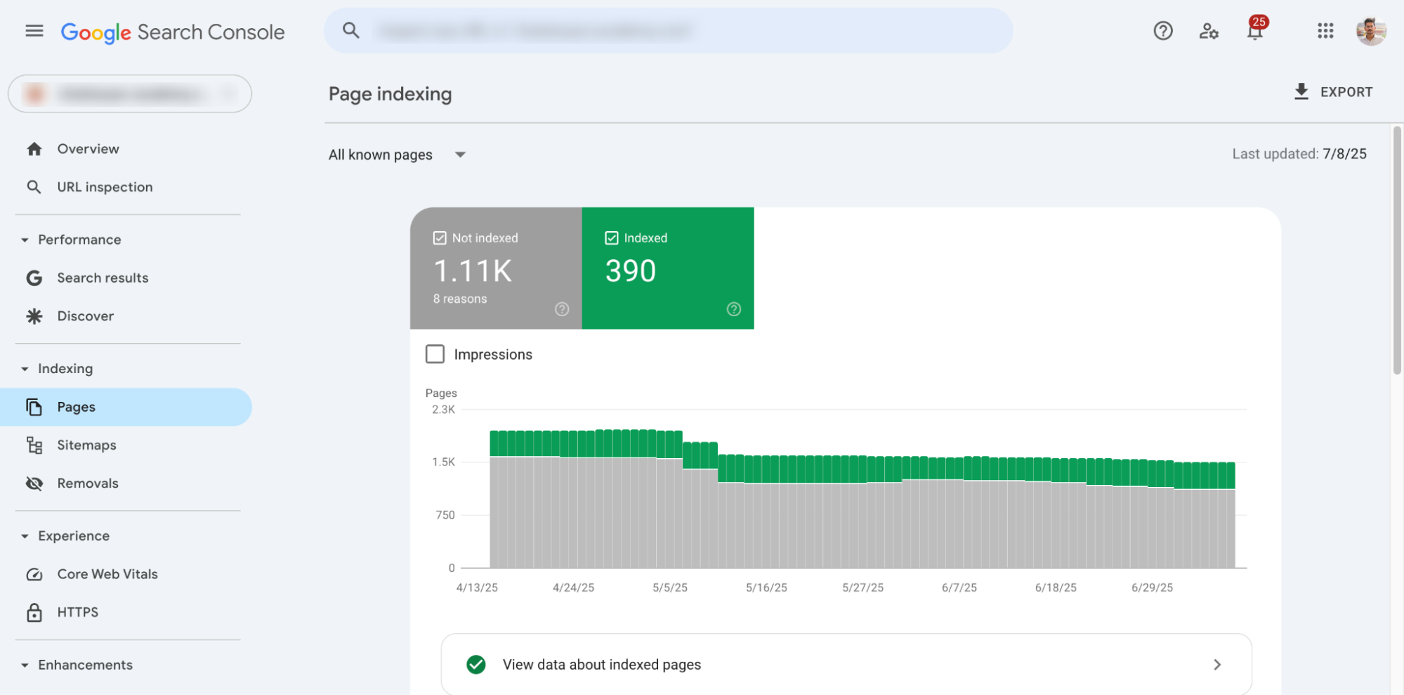 Indexed pages report from Google Search Console used to track SEO performance.